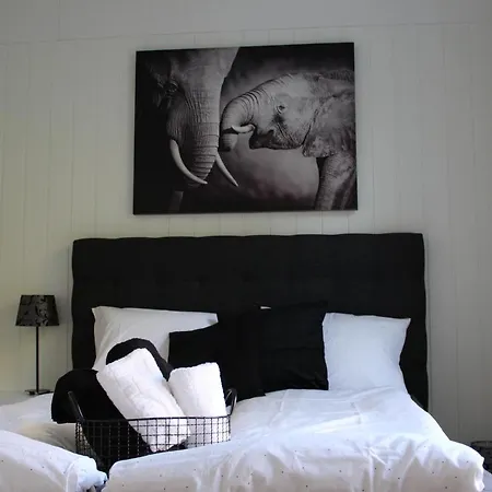 Apartment Light Sentral
